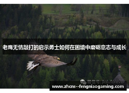 老鹰无情敲打的启示勇士如何在困境中磨砺意志与成长