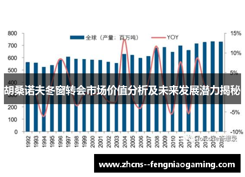 胡桑诺夫冬窗转会市场价值分析及未来发展潜力揭秘