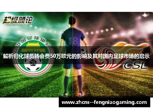 解析归化球员转会费50万欧元的影响及其对国内足球市场的启示