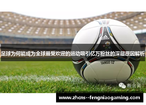 足球为何能成为全球最受欢迎的运动吸引亿万粉丝的深层原因解析