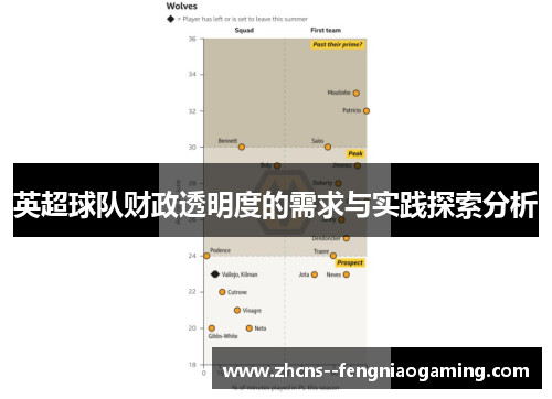 英超球队财政透明度的需求与实践探索分析