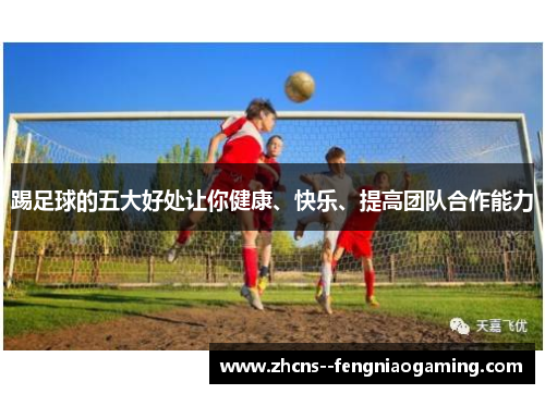 踢足球的五大好处让你健康、快乐、提高团队合作能力
