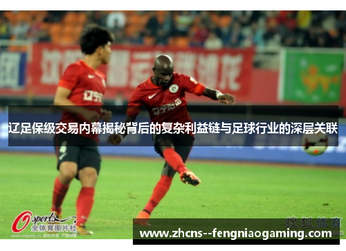 辽足保级交易内幕揭秘背后的复杂利益链与足球行业的深层关联